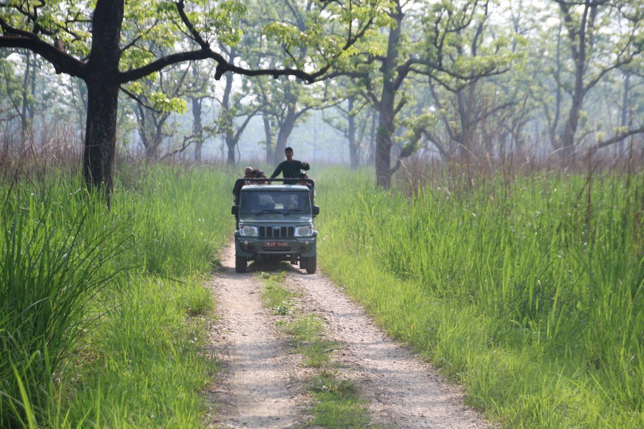 Sweet Home Chitwan Exterior photo
